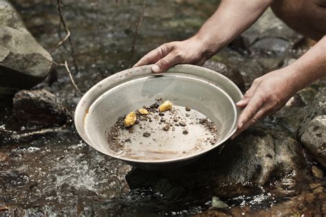 Lauren loves the panning for gold : r/TigerKing